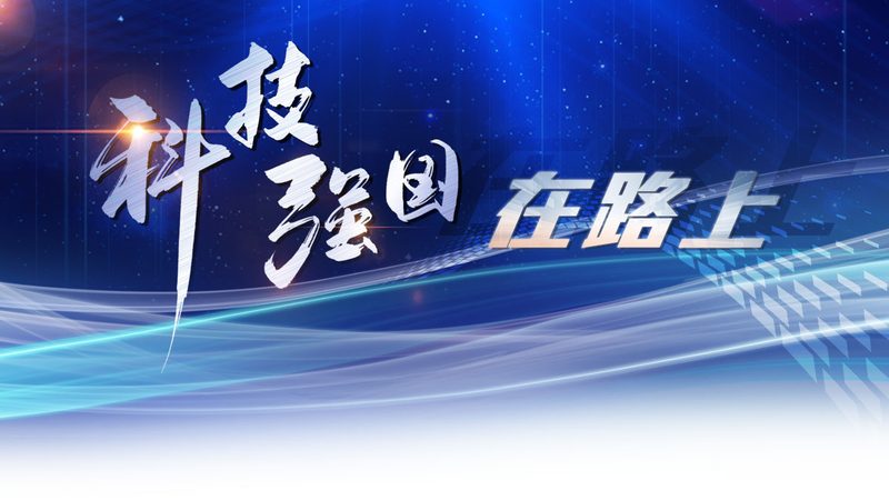 数据可视化交互设计平台：构建智能决策的视觉桥梁